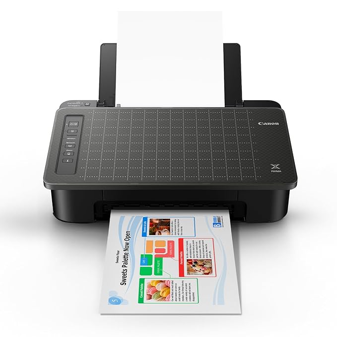 CANON PIXMA TS307A Wireless